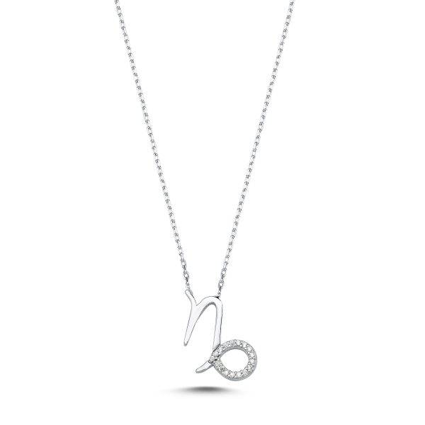 Zodiac Sign Silver Necklace-Capricorn